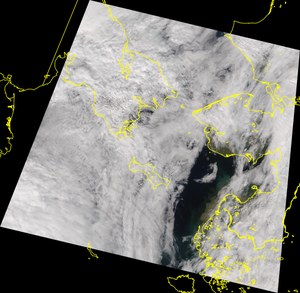 cropped_bering_noaa21.20260801.2357_true_color.tif